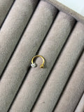 Horseshoe earrings (Pair)