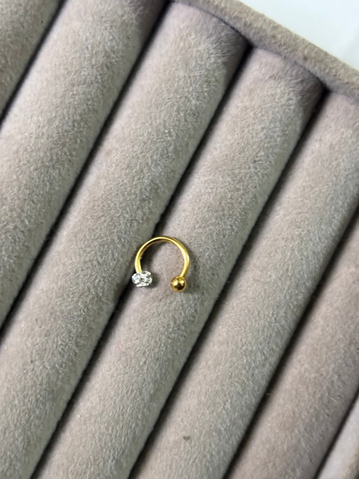 Horseshoe earrings (Pair)