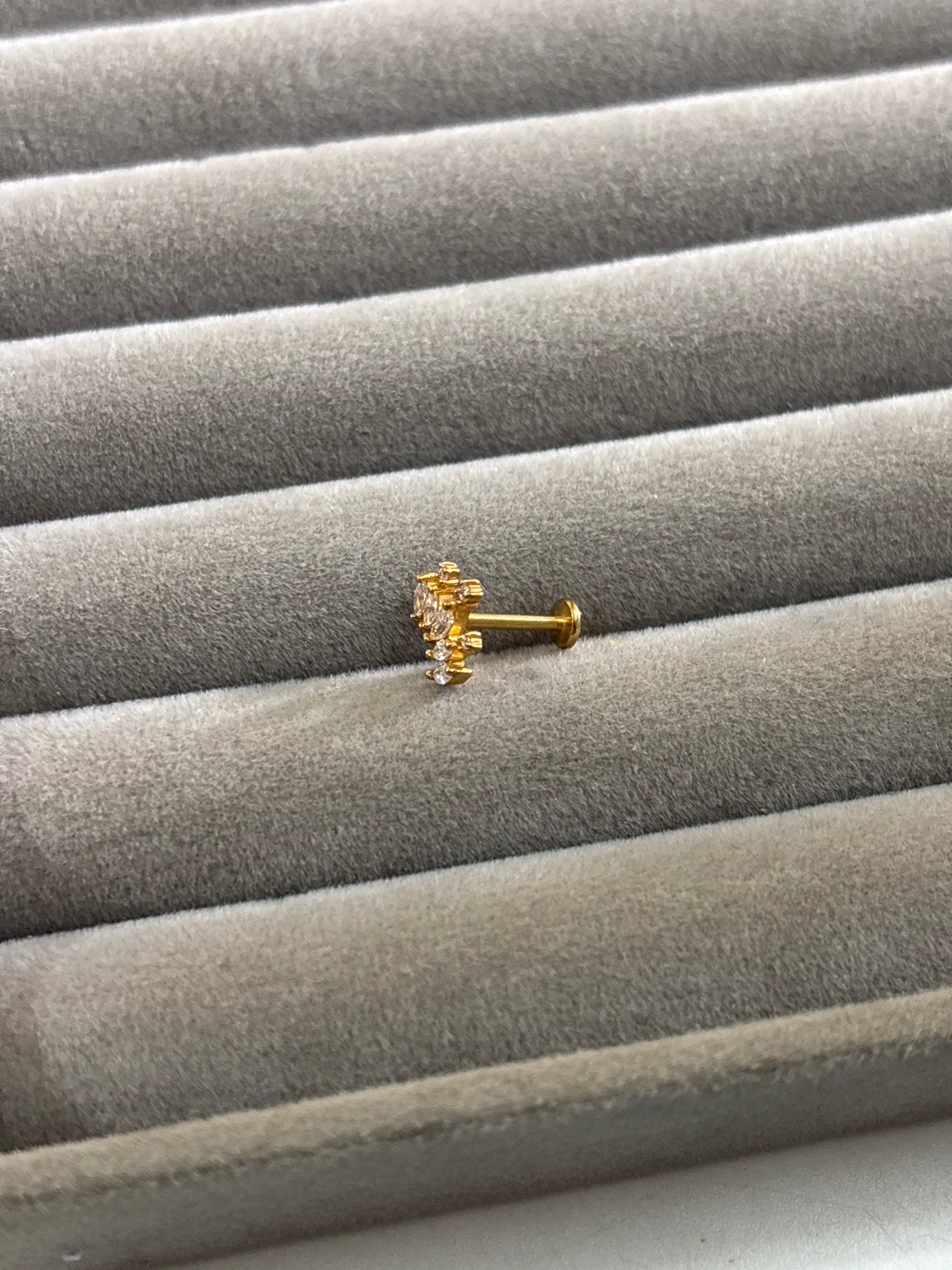 Crown nose pin